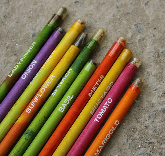 seed pencil in usa